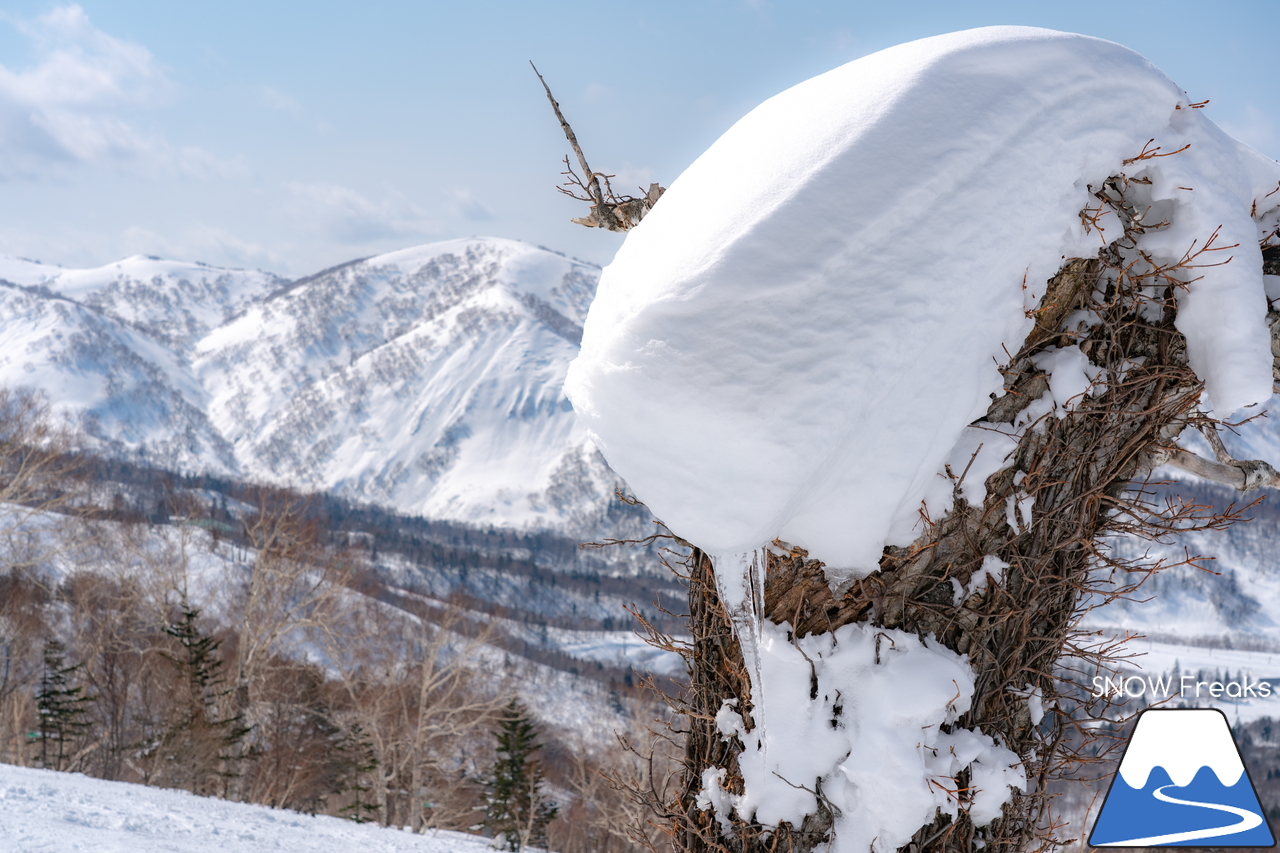 キロロリゾート｜まだまだ山頂は積雪４ｍ超！楽しい春スキー＆スノーボードシーズン到来です(^^)v